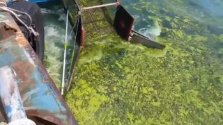 O cortador de grama funcionando